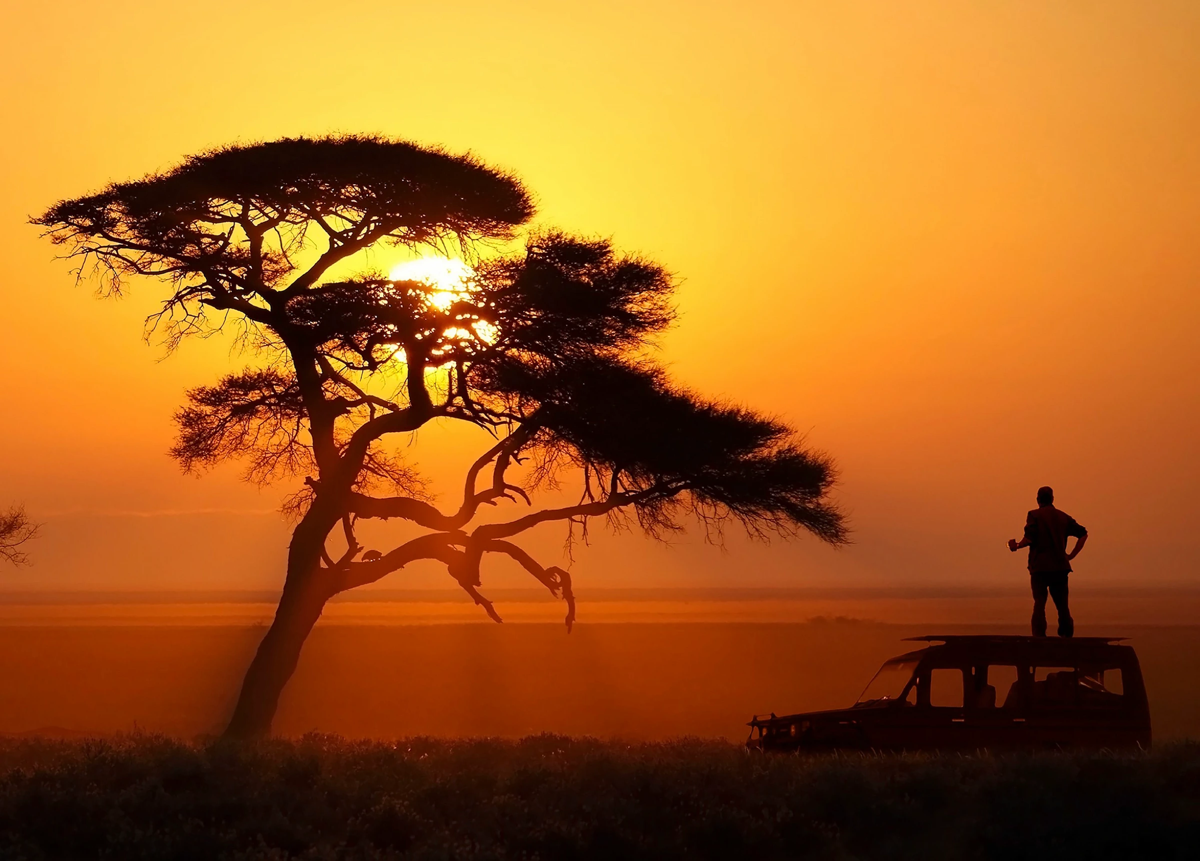 African sunset with safari vehicle under a tree — Eventra Bespoke luxury African travel
