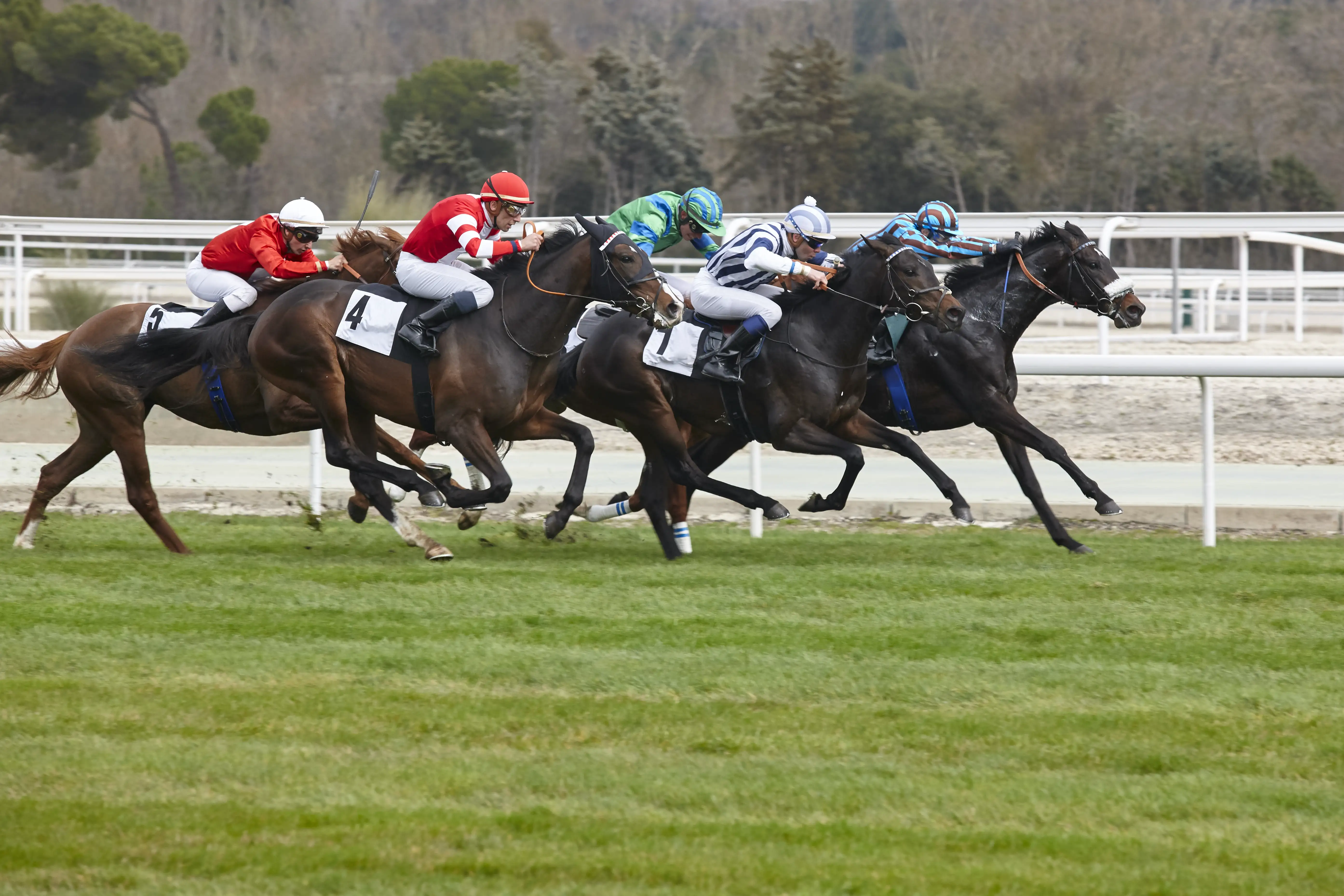 Jockeys riding in a horse race