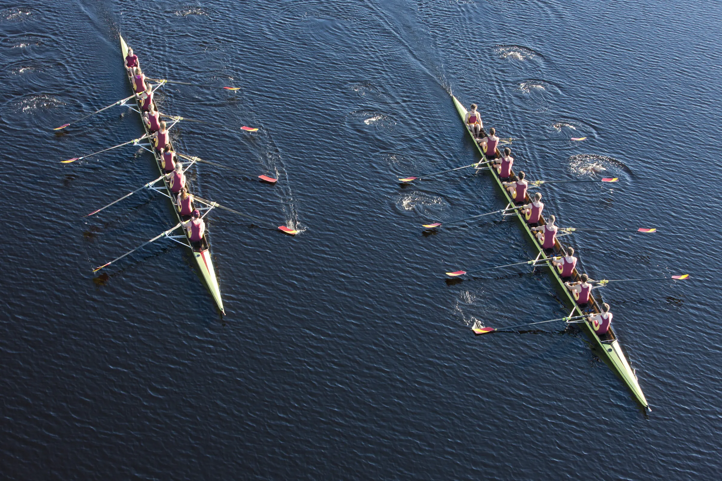 Tight rowing race across a still lake in a regatta