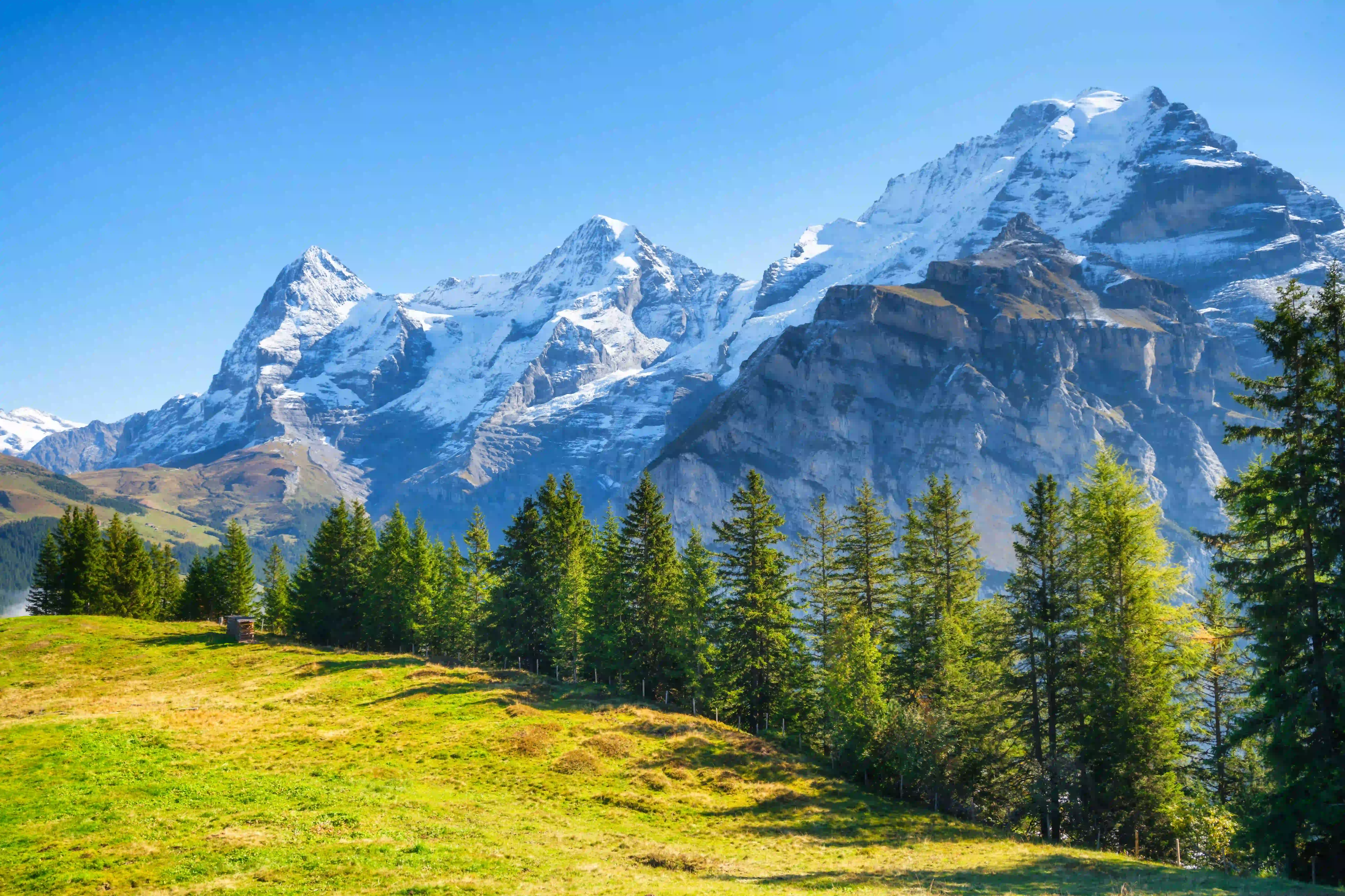 Huge snowy mountains over a green forest in Austria